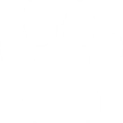 Tier Icon